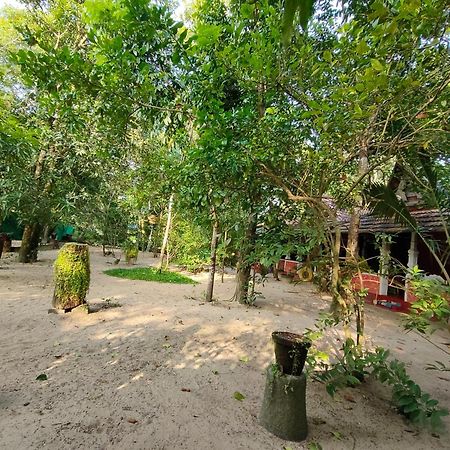 Abba Marari Beach Villas & Homestay Mararikulam Alappuzha Eksteriør bilde